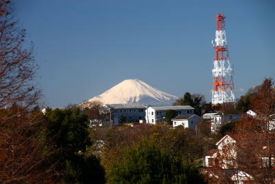 d0055236_22315439.jpg