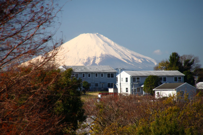 d0055236_229566.jpg