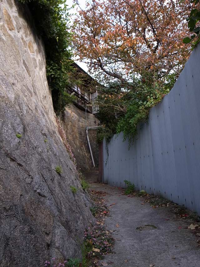 尾道 猫道 _d0067943_10131011.jpg