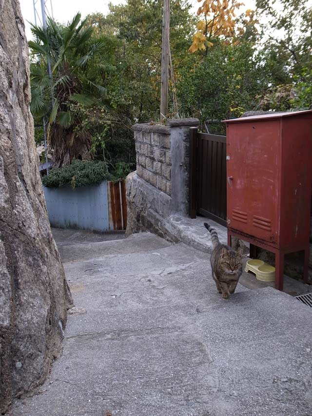 尾道 猫道 _d0067943_9365948.jpg