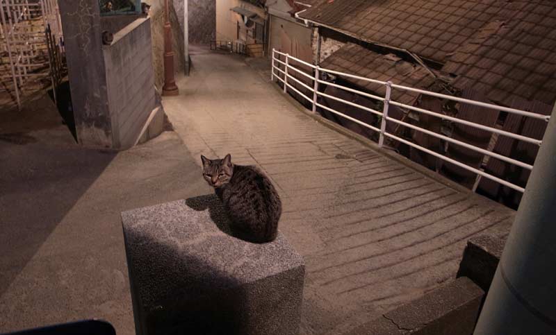 尾道 猫道 _d0067943_9385933.jpg