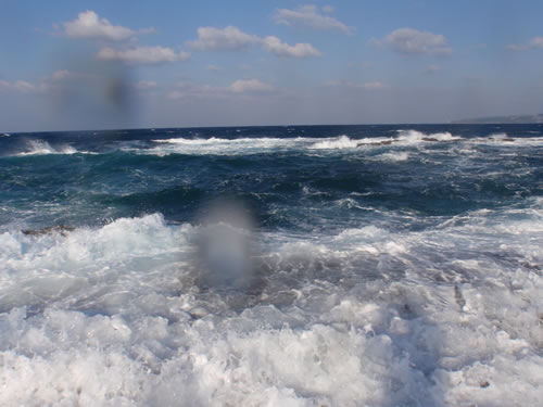 e0018843_22083.jpg