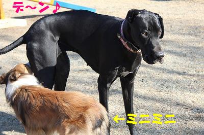 山中湖WOOFへ~大好き足柄サービスエリア_e0195743_19493566.jpg