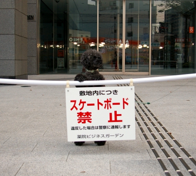 d0026745_1251247.jpg