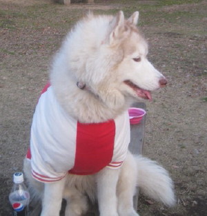 e0121548_2210367.jpg