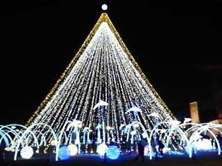 ☆゜・:*:・Marry Christmas・:*:・゜☆_a0061057_2294174.jpg