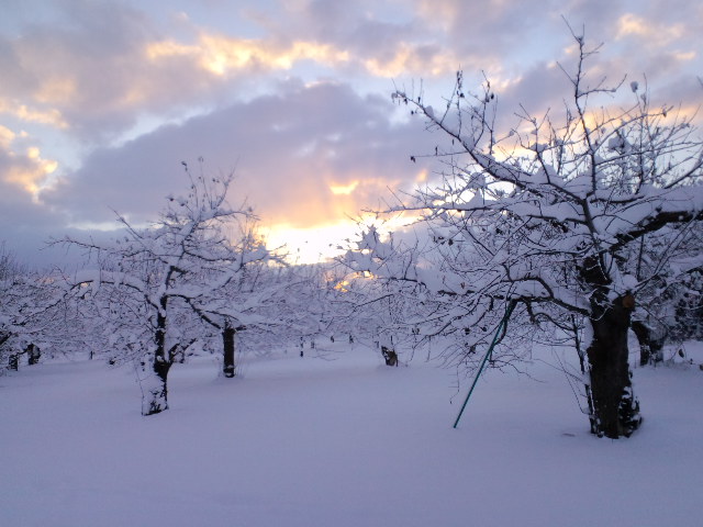 年末雑感2010_f0104457_16305567.jpg