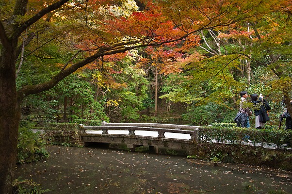 2010年秋の京都～法然院周辺～_e0209962_0414562.jpg