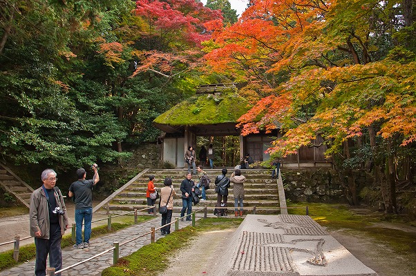 2010年秋の京都～法然院周辺～_e0209962_163442.jpg