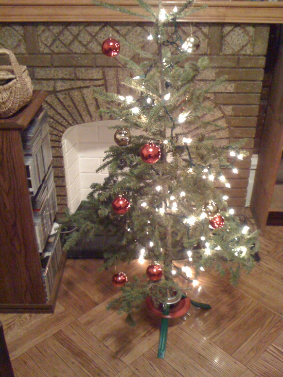 f0056262_8154474.jpg
