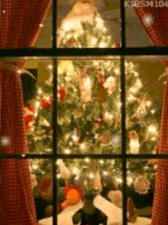 a0063364_014237.gif