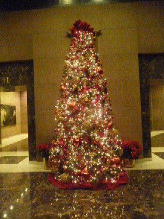 2010-12-23 ニューヨークに到着_e0021965_12433485.jpg