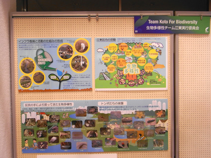 ★生物多様性チーム江東の報告会_e0046474_1534241.jpg
