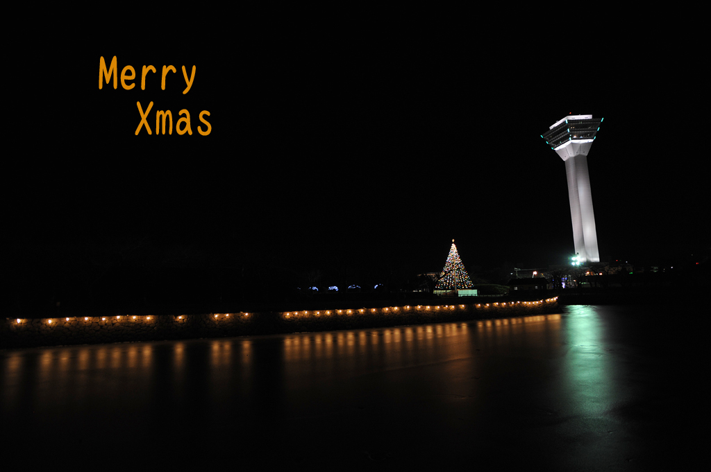 Merry Xmas！・・・2010_a0141385_7541983.jpg