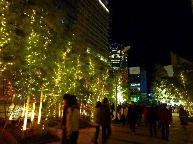 e0196993_1114711.jpg