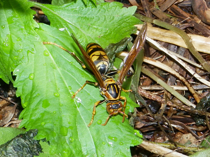f0204094_20542793.jpg