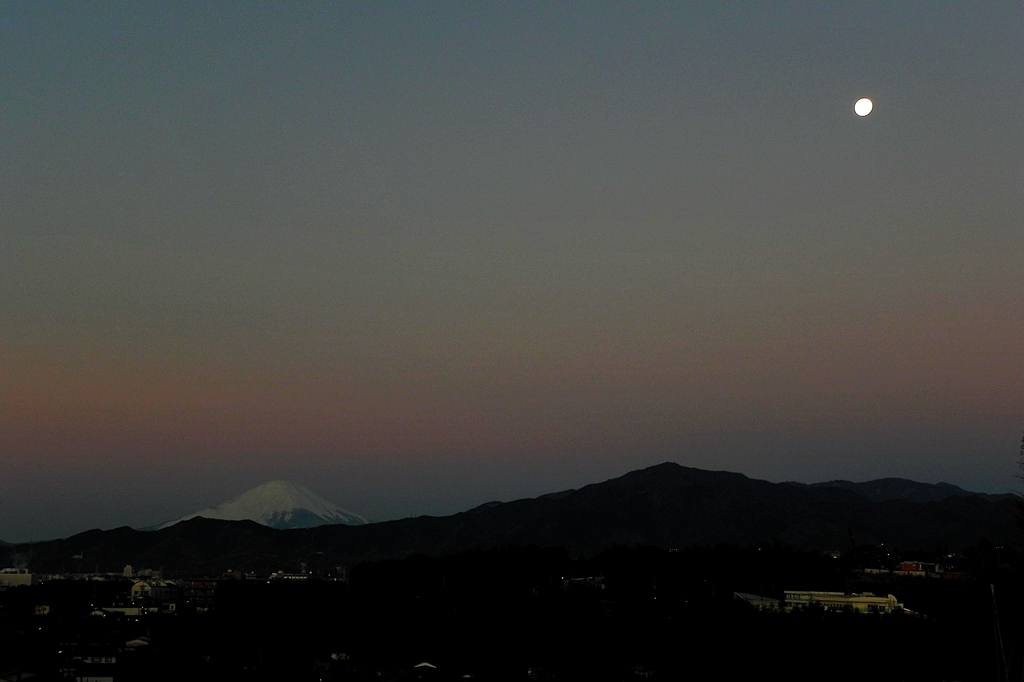 サザンカメジロ/十六夜の名残月、富士山を転げ落ちた_b0024798_5423736.jpg