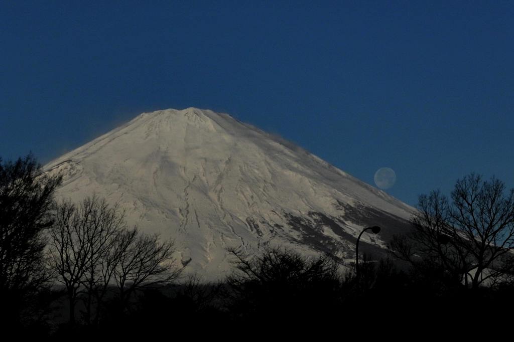 サザンカメジロ/十六夜の名残月、富士山を転げ落ちた_b0024798_542497.jpg