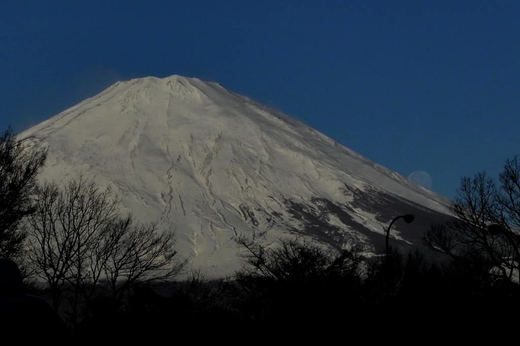 サザンカメジロ/十六夜の名残月、富士山を転げ落ちた_b0024798_543027.jpg