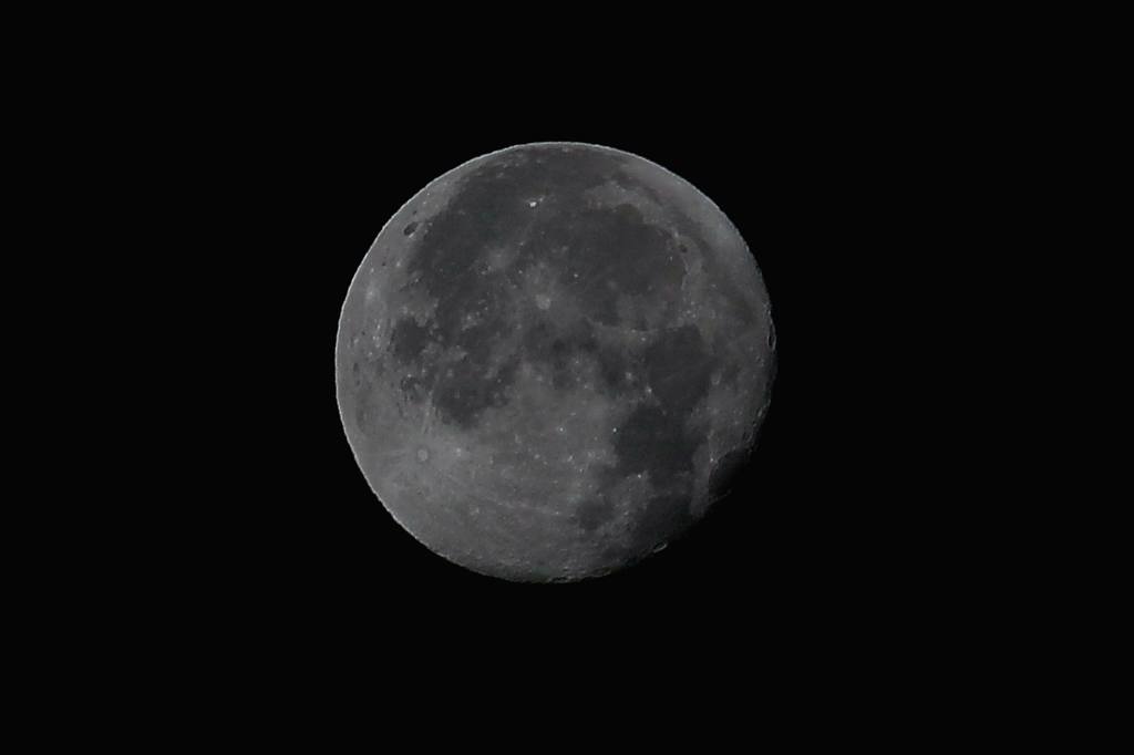サザンカメジロ/十六夜の名残月、富士山を転げ落ちた_b0024798_5431479.jpg
