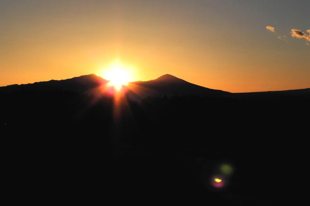 サザンカメジロ／十六夜の名残月、富士山を転げ落ちた_b0024798_662973.jpg