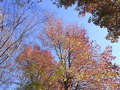 d0051601_2252157.jpg