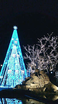 気分はクリスマス一色 ~♪_d0135908_14462270.jpg