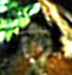 e0103408_8371766.jpg