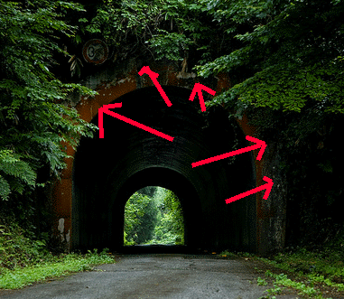 e0103408_8373275.gif