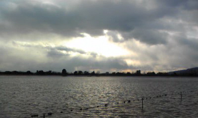 c0180209_1551245.jpg