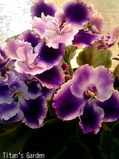 b0099813_075672.jpg