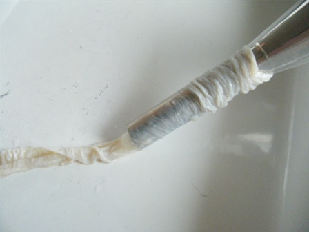 f0179713_1632982.jpg