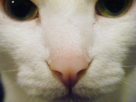 c0118715_935575.jpg