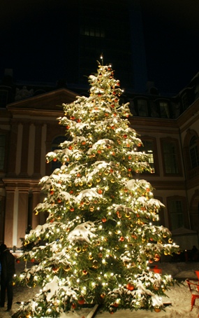 b0083417_03967.jpg