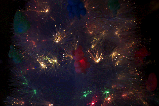 d0161322_23224789.gif