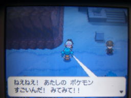 ポケットモンスターブラック縛りプレイ（ソウリュウシティ、レベル上げ）_a0120525_1554690.jpg