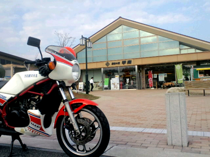 f0203027_1611163.jpg