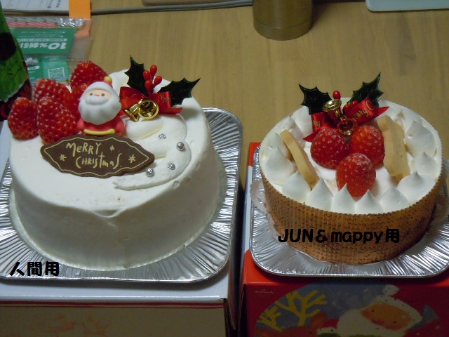 ☆メリー クリスマス☆_f0114128_1919930.jpg