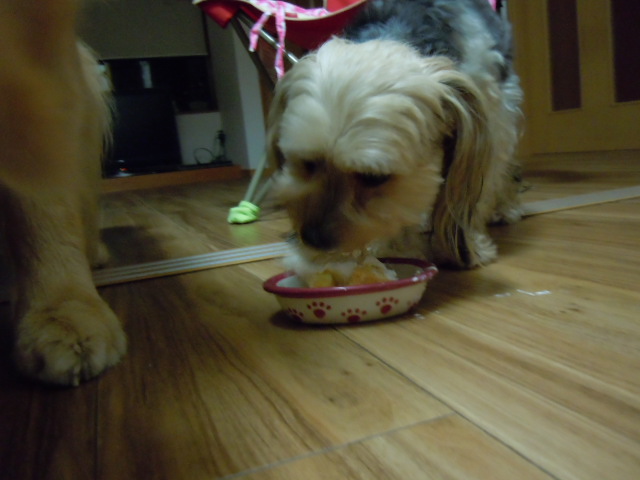 ☆メリー クリスマス☆_f0114128_19231521.jpg