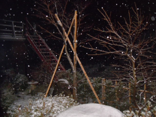 ☆メリー クリスマス☆_f0114128_19265230.jpg