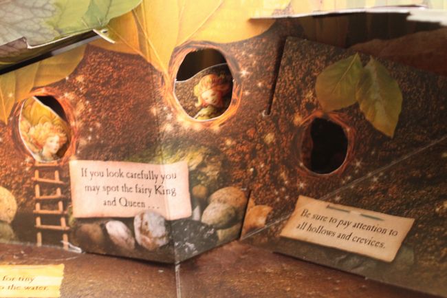 How to Find Flower Fairies_d0148729_23283933.jpg