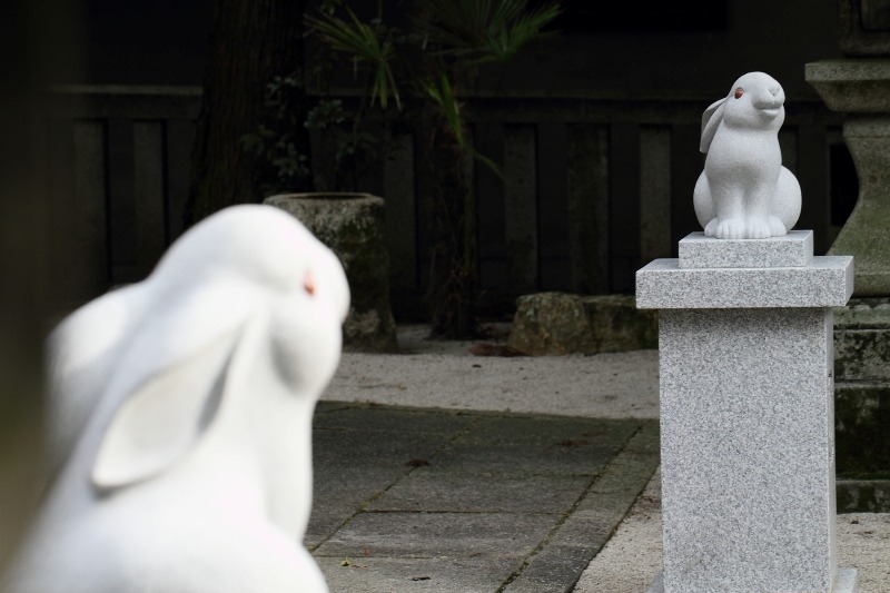 今年はうさぎ年 －岡崎神社－（前編）_b0169330_1813538.jpg