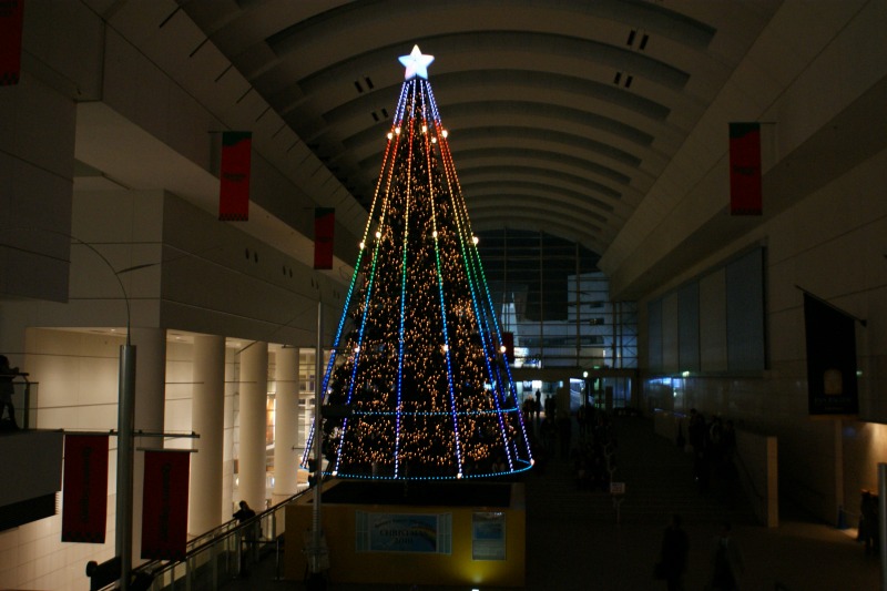 a0122932_2348125.jpg