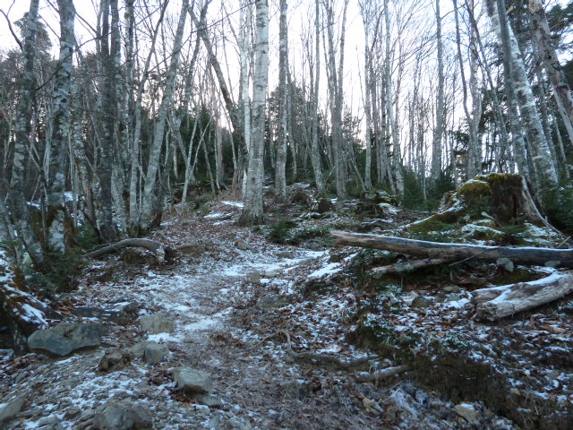 b0190242_10362414.jpg