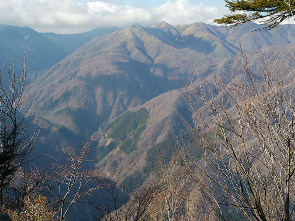 b0190242_10374331.jpg