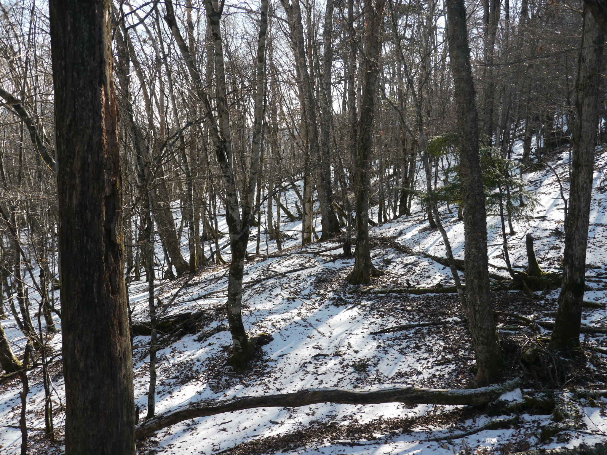 b0190242_10471011.jpg