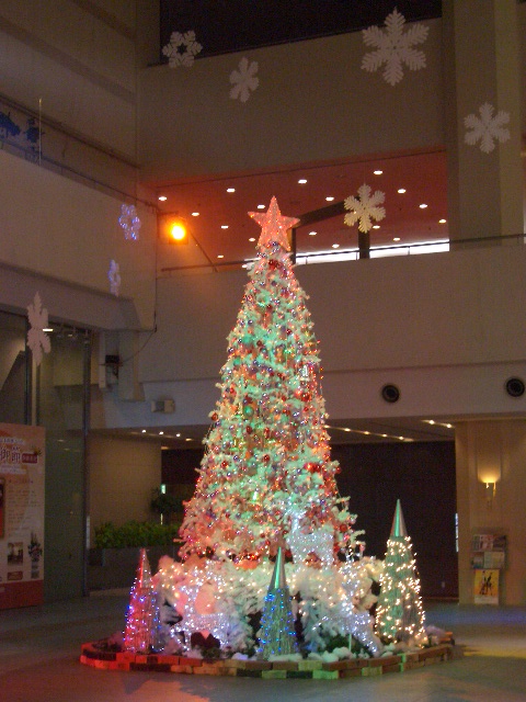 Merry Christmas ☆_b0076743_0382820.jpg