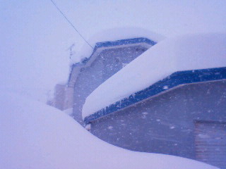 大雪_b0057751_2212517.jpg