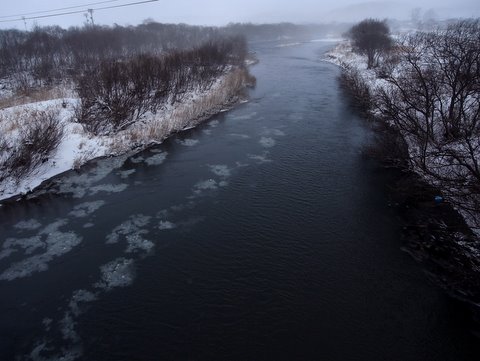 b0130166_20371282.jpg