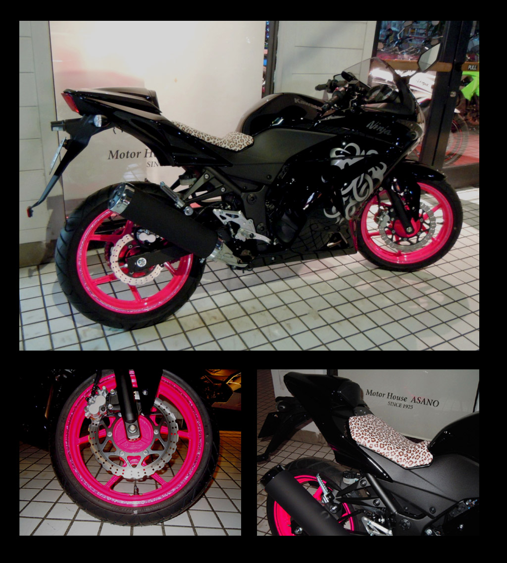 Mh Asano様 Ninja250r Os Design Blog